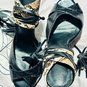 Elegant Black and Tan Heel